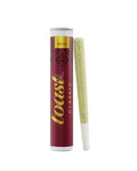 Toast | Phanta Fizz l Pre-roll (1G) Sativa