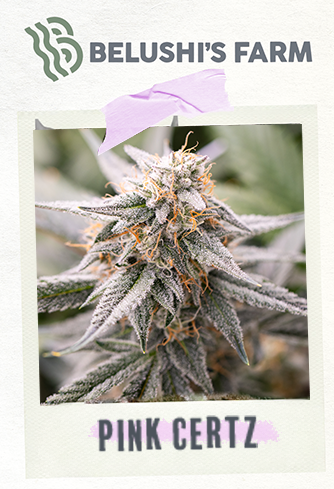 Pink Certz | The Blues Brothers | Belushi's Farm | 3.5G