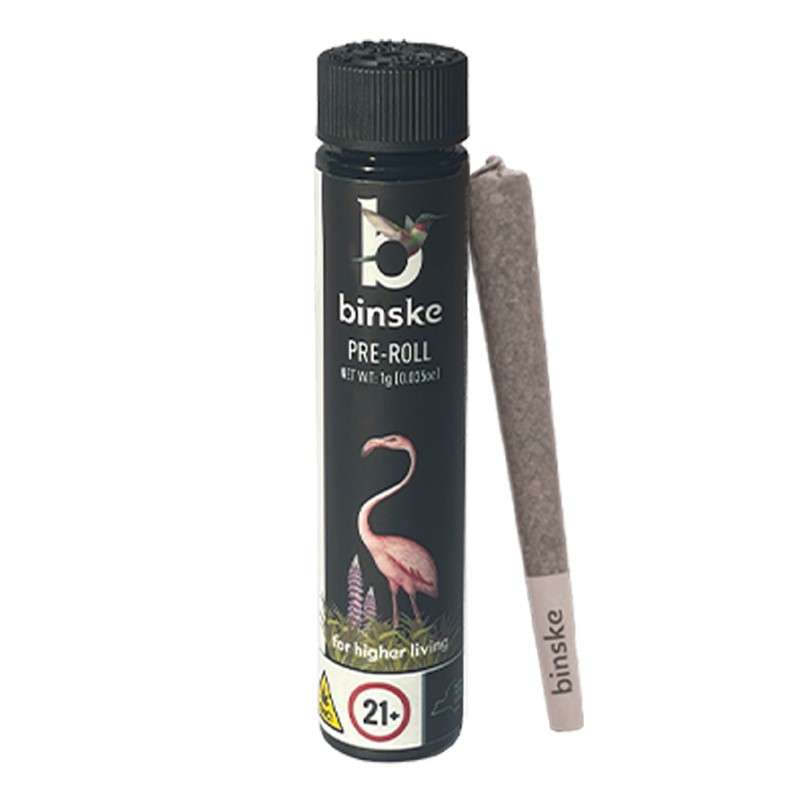 Binske | Azure Apricot | 1G Sativa
